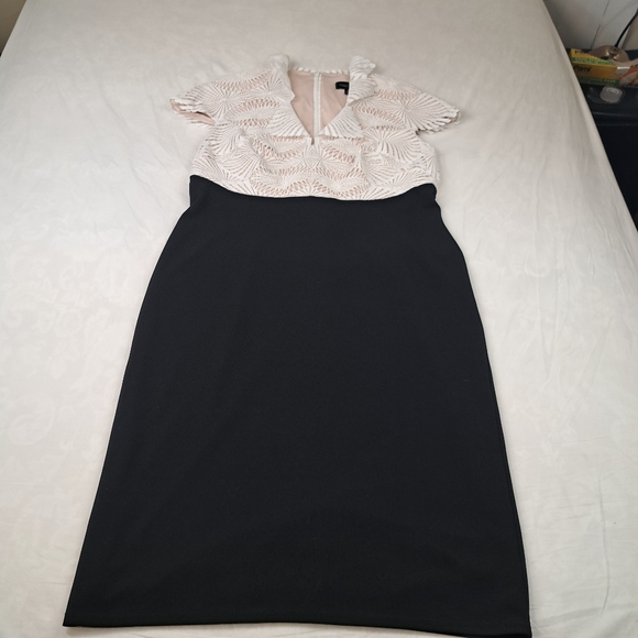 Tadashi Shoji Two Tone Lace Sheath Dress Size 16 - Picture 12 of 16